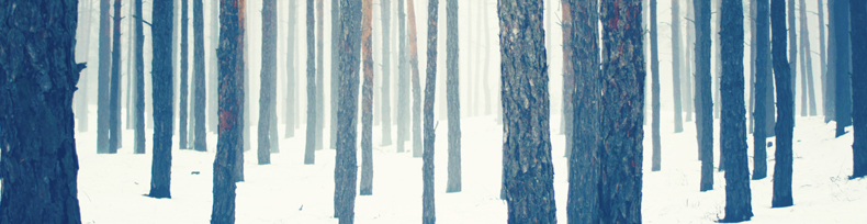 Le Bûcher d'Hiver