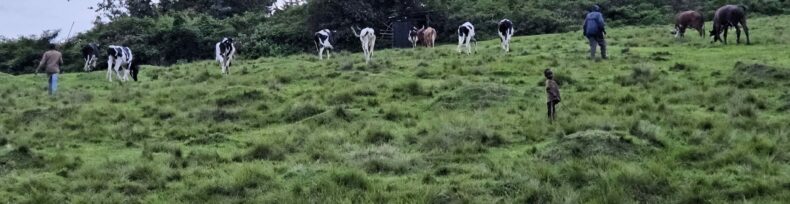 Celle qui s'ignore (titre provisoire)